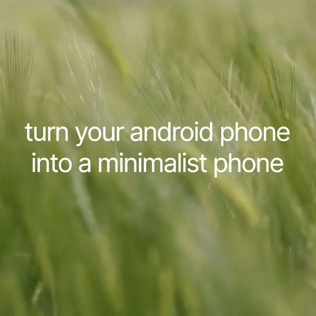 minimalist-phone-trava-1080x1080 minimalist phone QQlabs